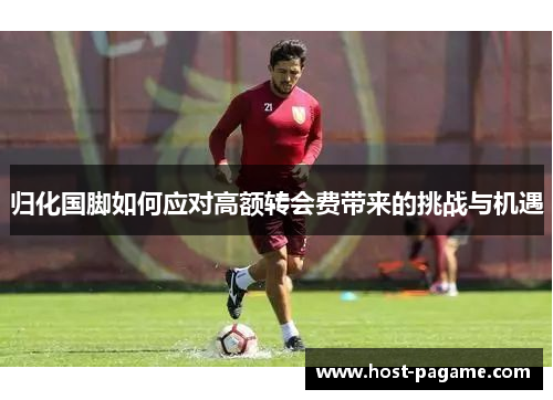归化国脚如何应对高额转会费带来的挑战与机遇