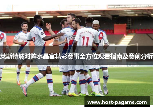 莱斯特城对阵水晶宫精彩赛事全方位观看指南及赛前分析