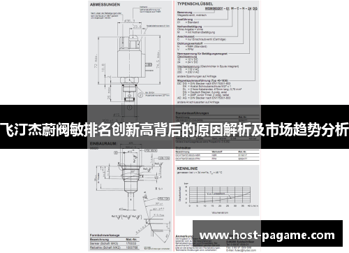 飞汀杰蔚阀敏排名创新高背后的原因解析及市场趋势分析