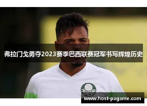 弗拉门戈勇夺2023赛季巴西联赛冠军书写辉煌历史
