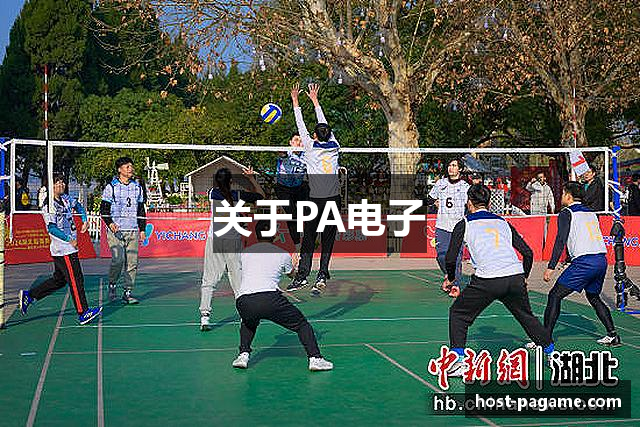 关于PA电子